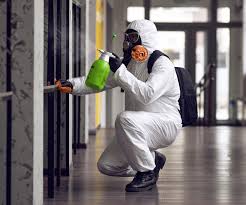 Best Mold Odor Removal Services  in Ford City, CA